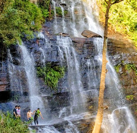 Jhari Falls/Buttermilk Falls/Dabdabe Falls Chikmagalur - One Stop Destination: - Homestay Advisor