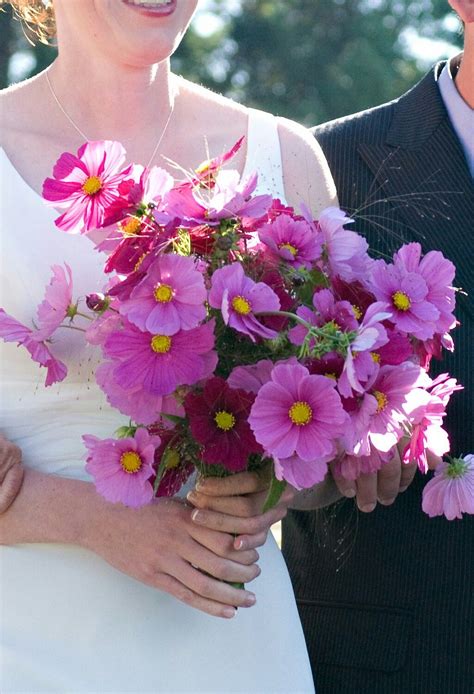Bride's Pretty Bouquet Of: Pink & Fuchsia Cosmos Cosmos Wedding Bouquet, Gerbera Wedding, Daisy ...
