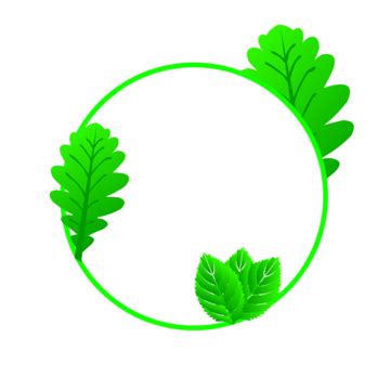 Green Leaf Frame, Leaf Frame, Leaf, Green PNG Transparent Clipart Image ...