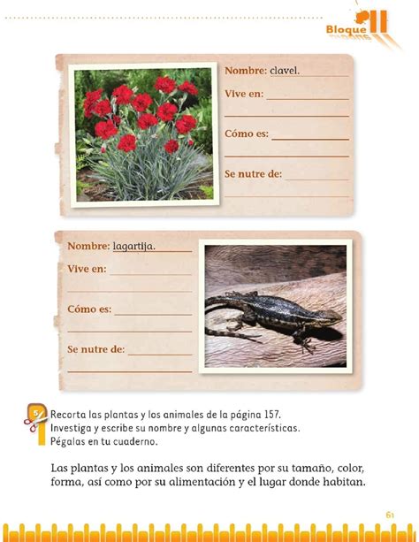 Semejanzas y diferencias entre plantas y animales - Bloque II - Lección 3