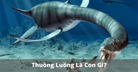 Thuồng luồng là con gì? Sự thật về Thuồng luồng - Wonderkids Education