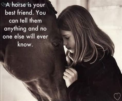 Horse Friendship Quotes. QuotesGram