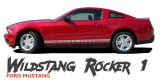 WILDSTANG 05, Ford Mustang Stripes, Mustang Decals, Mustang Vinyl Graphics