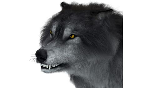 When Did Dire Wolves Go Extinct? - Wiki Point