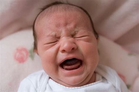 Baby Instructions: Why is my baby crying? - nj.com