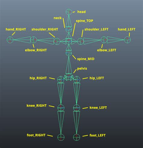 Maya Rigging