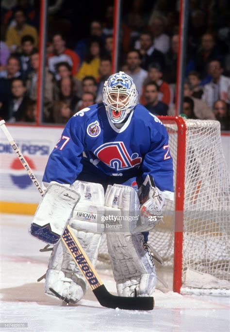 Pin by Ben Willms on Hockey Action | Quebec nordiques, Hockey goalie, Nhl players