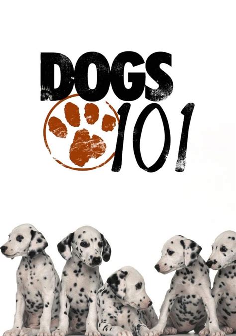 Dogs 101 - watch tv show streaming online