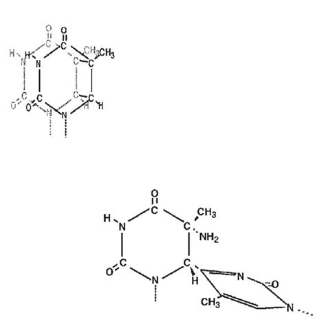 Pyrimidine dimers. The cyclobutane pyrimidine dimer (top) and the ...