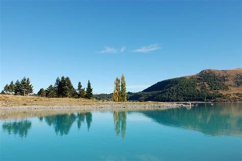 Cool and Unusual Things to Do in Lake Tekapo - Atlas Obscura