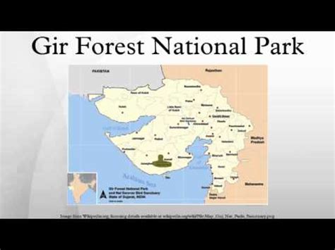 Gir Forest National Park - YouTube