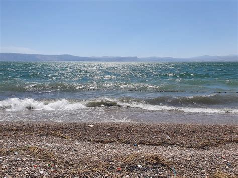 Kursi Beach - Tiberias: Working hours, Activities, Visitor reviews ...