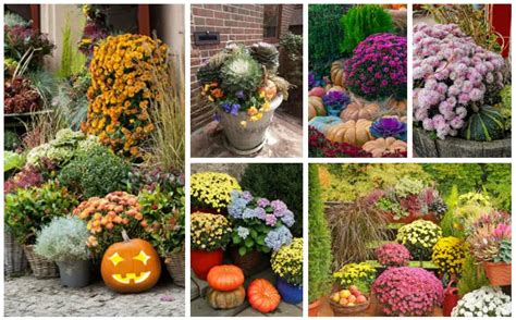 27 Spectacular Fall Gardening Ideas - Garden Lovers Club