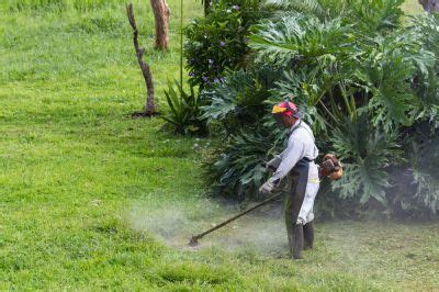 Get Weed Whacking | Weed Whacking