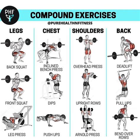 Compound movements | Full body workout routine, Gym workout tips, Compound exercises