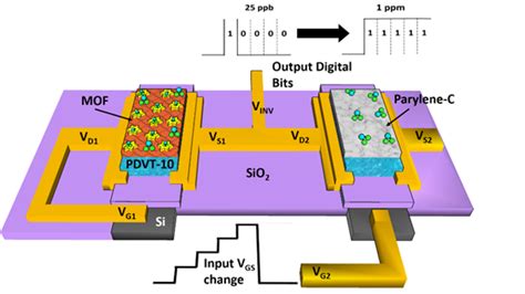 Fully Integrated Organic Field‐Effect Transistor Platform to Detect and ...