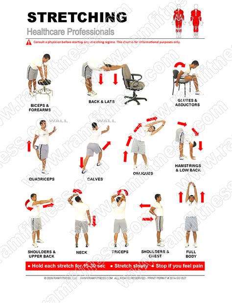 Free Printable Stretching Exercises For Seniors