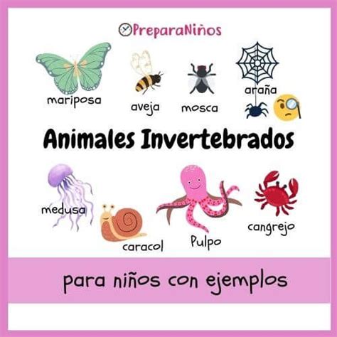 Los invertebrados, es un grupo muy variado de animales que se caracterizan porque no poseen ...