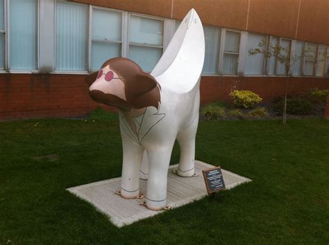 Lambanana at Arrowe Park Hospital "Imagine" | Liverpool city, Park, Imvu