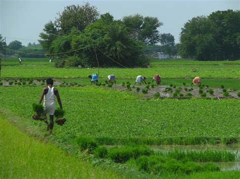 Agricultural science: History In Indian Farmers