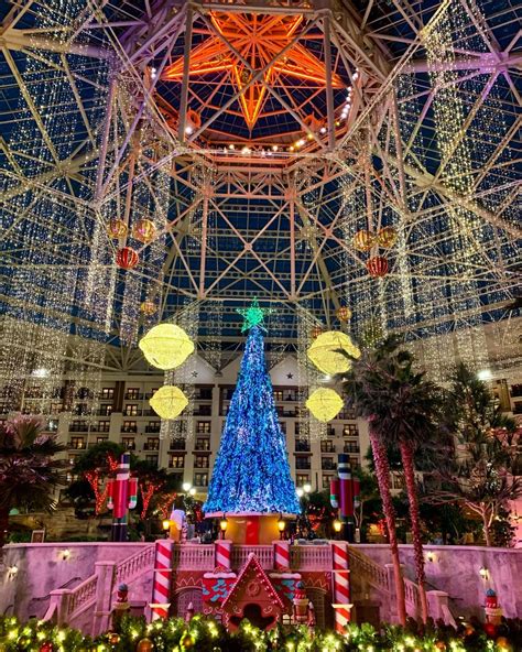 Our Christmas tree is glittering and... - Gaylord Texan Hotel