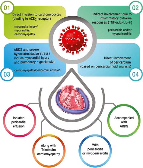 Pathogenesis and clinical presentation of severe pericardial effusion ...