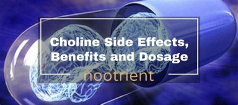 Choline Side Effects, Benefits and Dosage | Nootropics