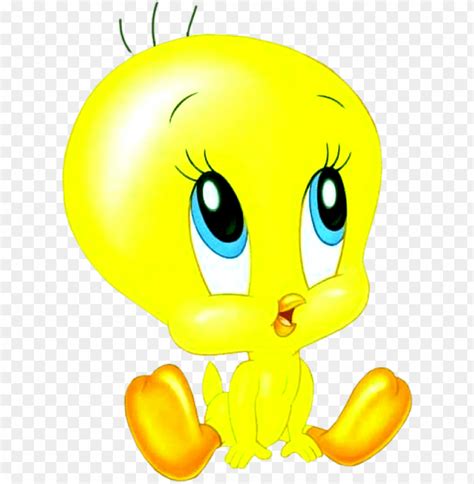 Tweety Baby Looney Tunes Looney Tunes Cartoons Cartoon Birds – NBKomputer