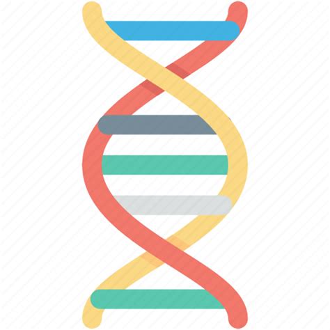 Dna, dna chain, dna helix, dna strand, genetics icon - Download on ...