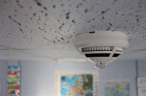 School Fire Alarm Systems Installation Services