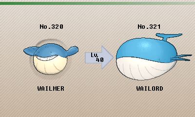 Wailord Size Comparison Trainer