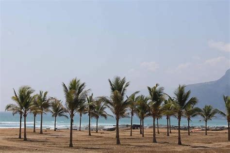 West Salalah Beaches and Blowholes in Salalah, Oman - Trip Canvas