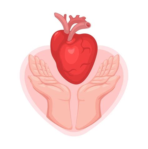 World Organ Donation Day. heart transplantation symbol cartoon illustration vector 14703918 ...