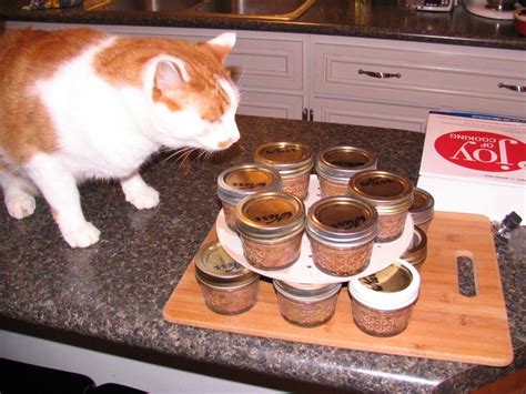 Homemade canned cat food | Best cat food, Cat food, Organic cat food