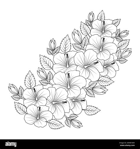 chinese hibiscus flower hand drawn coloring page illustration with line ...