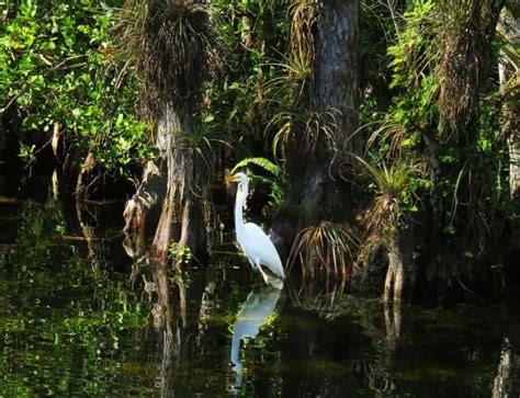 12 best scenic drives: Florida beauty on back roads