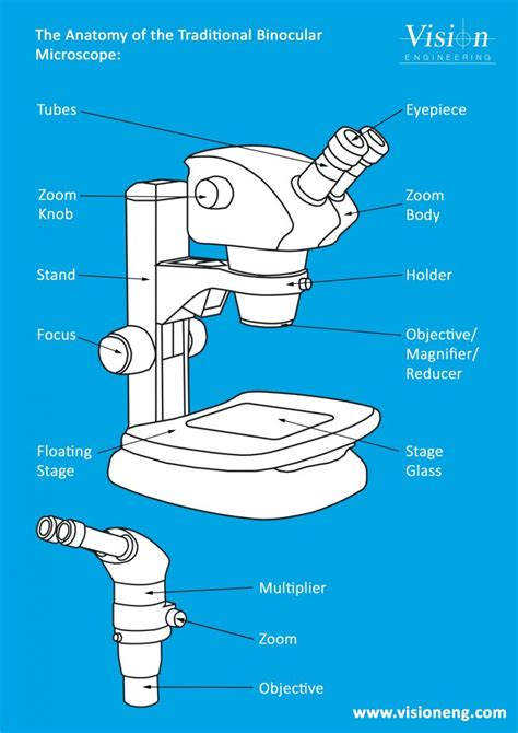 Details 78+ sketch of binocular microscope latest - seven.edu.vn