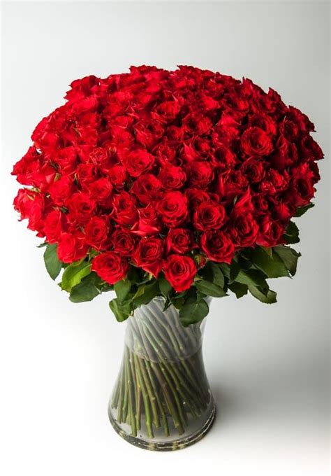 100 long stem Red Roses-ON SALE in San Diego, CA | San Diego Floral Design