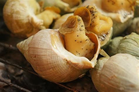 Free Images : food, produce, invertebrate, clam, escargot, sea snail, snails and slugs 4912x3264 ...