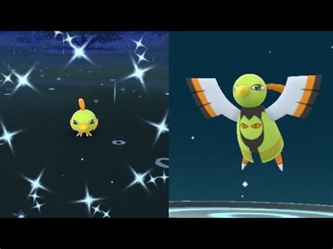 WE CAUGHT SHINY NATU! POKEMON GO SHINY NATU EVOLVES INTO SHINY XATU ...