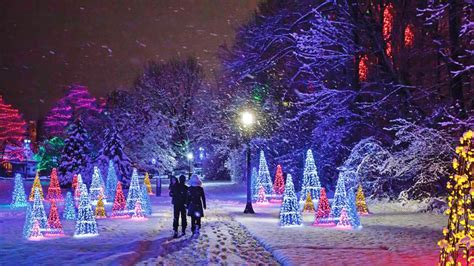 The Winter Festival of Lights in Niagara Falls | Layman Tour & Transport