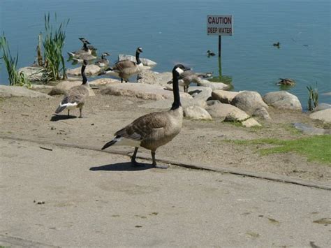 Saskatoon Forestry Farm Park & Zoo - All You Need to Know BEFORE You Go - Updated 2020 ...