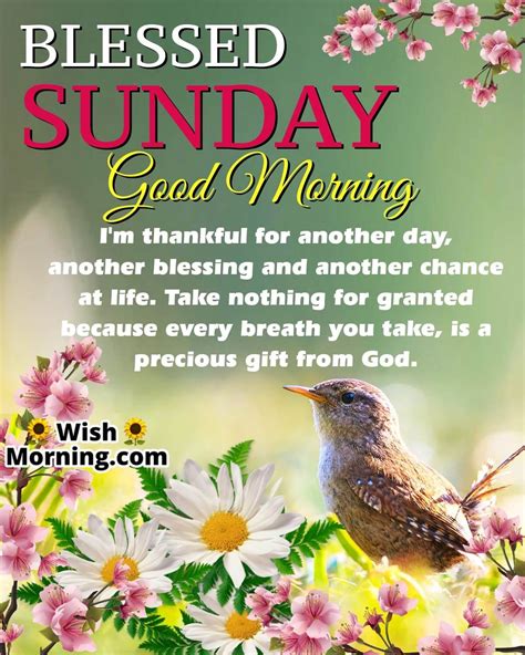 Good Morning Have A Blessed Sunday