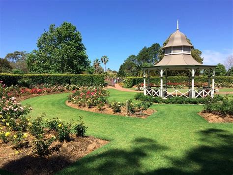 Wollongong Botanic Garden: UPDATED 2019 All You Need to Know Before You ...