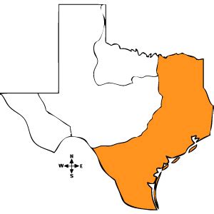 Coastal Plains - Texas Regionsby Rimsha