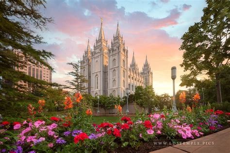 Salt Lake Temple Summer Glow - LDS Temple Pictures | Lds temple pictures, Temple pictures, Salt ...