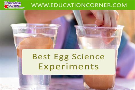 16 Best Egg Science Experiments - Education Corner