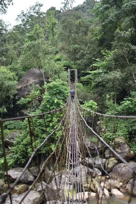 Nongriat Trek - Double Decker Living Root Bridge » 2024 » [by a TRAVEL ...