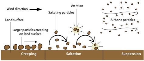 Wind Soil Erosion Diagram