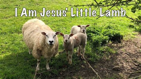 I Am Jesus' Little Lamb - YouTube